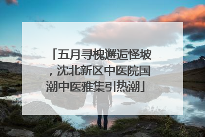 五月寻槐邂逅怪坡，沈北新区中医院国潮中医雅集引热潮